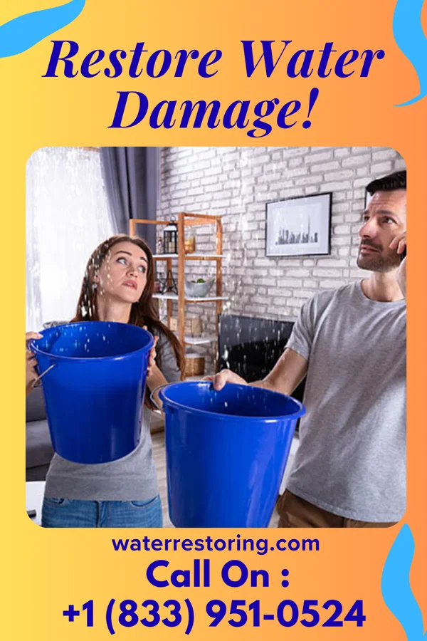 water restoration Eco Sewage Cleanup Professionals Lyndon